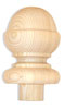 Acorn
